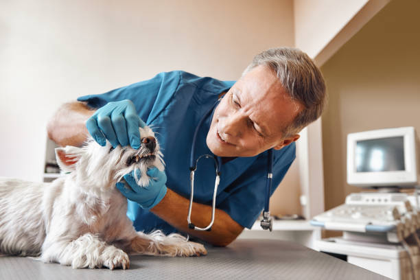 Best Emergency Root Canal Treatment in Redwater, TX